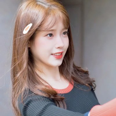 迁徙的鸟